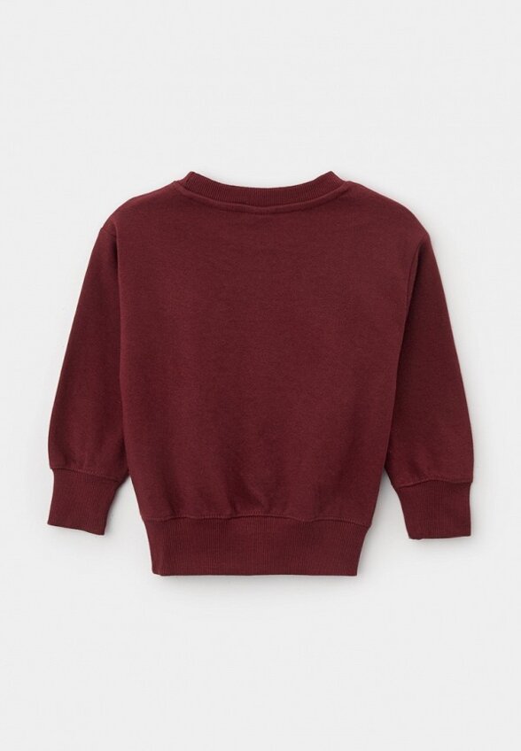 Свитшот Terranova