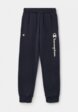 Брюки спортивные Champion1  - превью