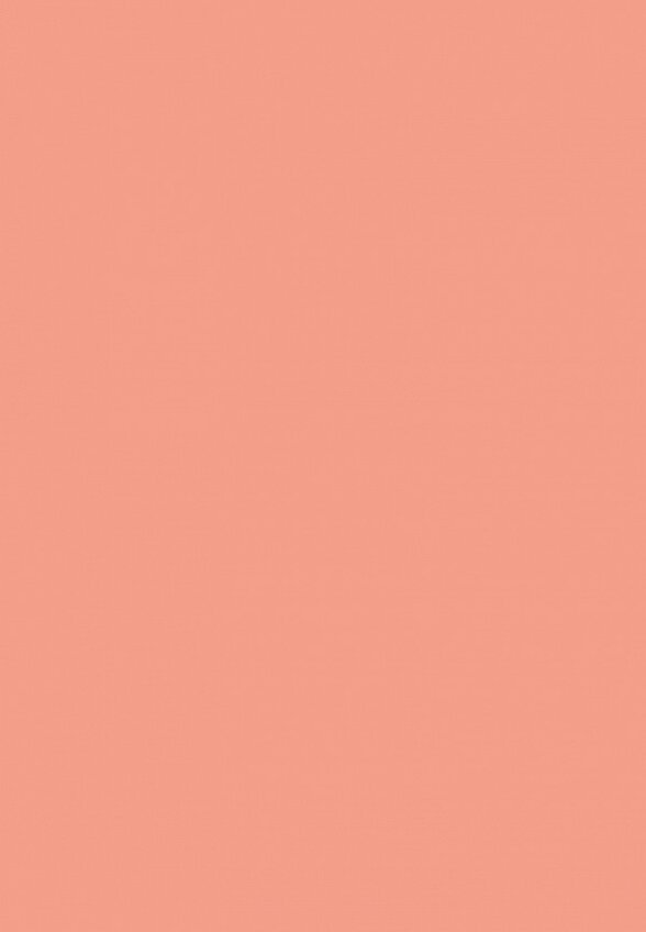 Блеск для губ Ninelle