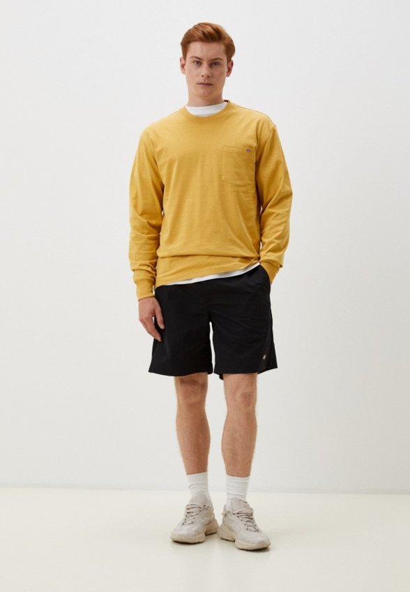 Шорты Dickies