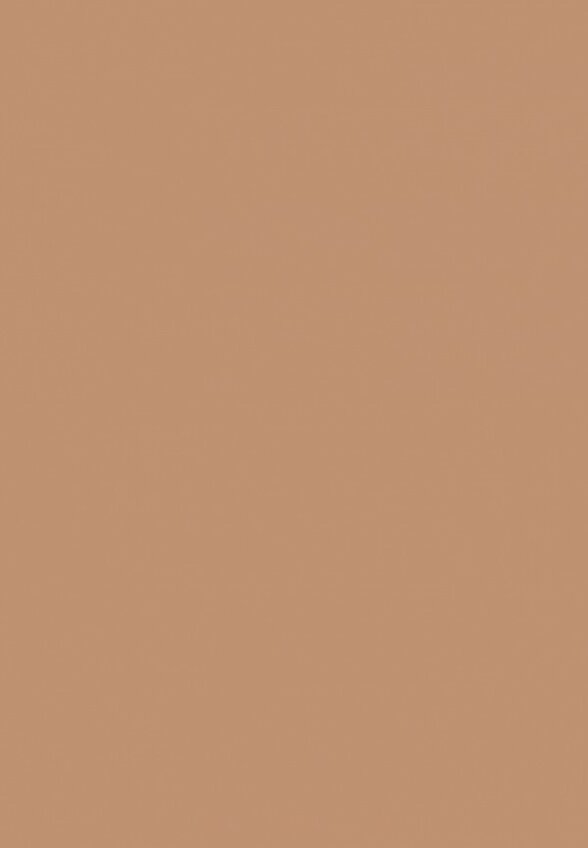 Тональное средство Shik