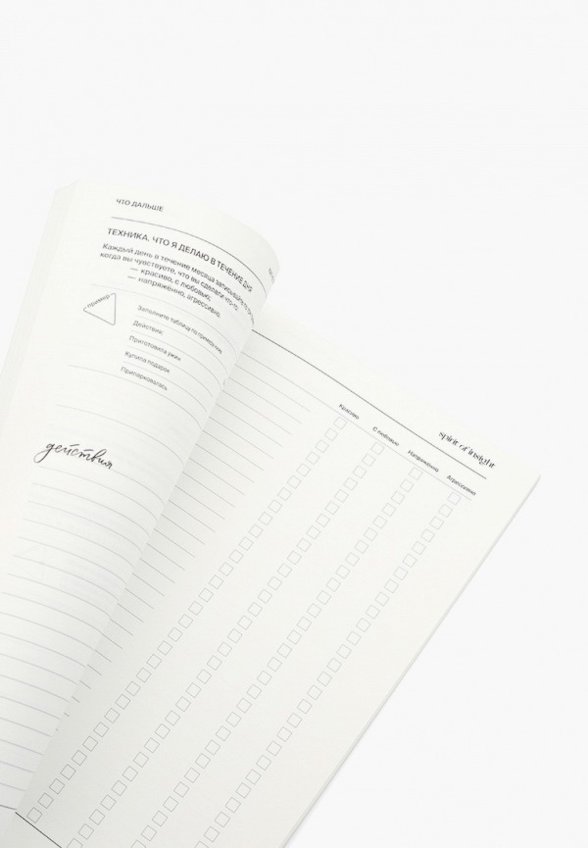 Дневник Spirit of Insight