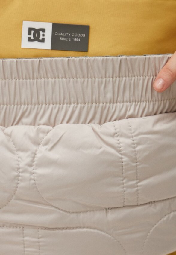 Брюки сноубордические DC Shoes