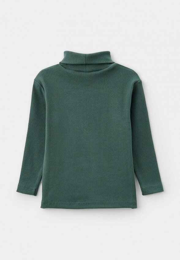 Водолазка Pelican