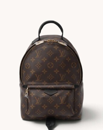 Louis Vuitton Palm Springs женщинам