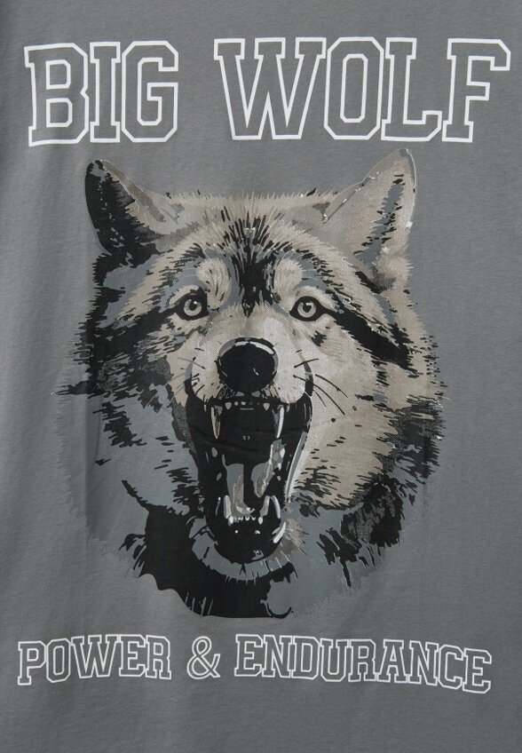 Футболка Mr Bigman