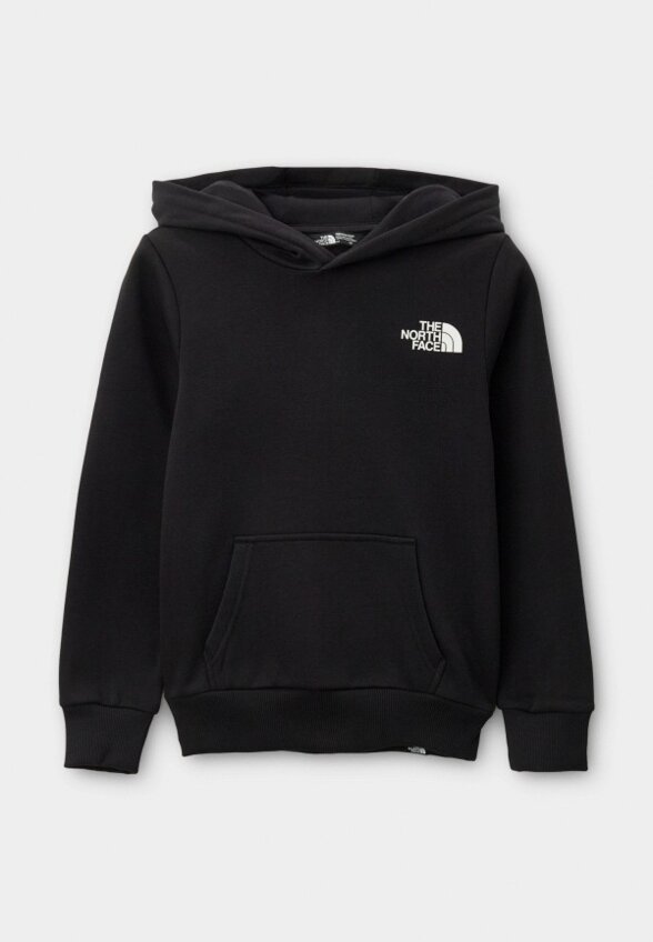 Худи The North Face