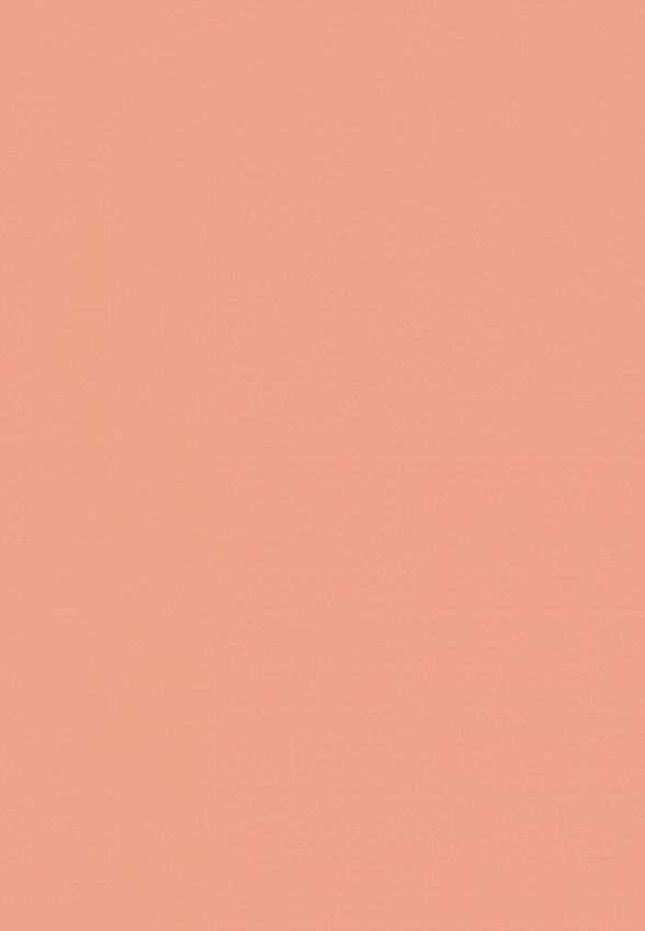 Румяна Kiko Milano