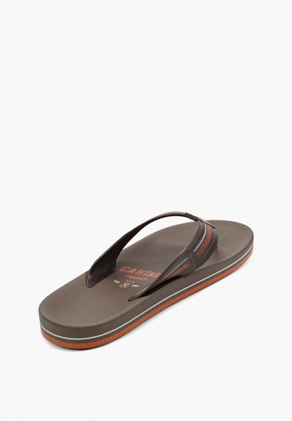 Сланцы Cartago