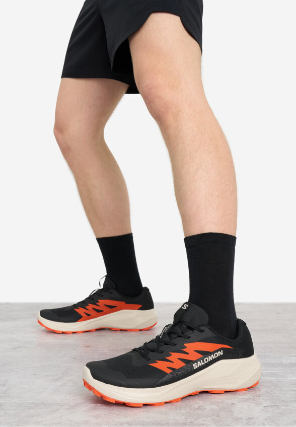 Кроссовки мужские Salomon Alphaglide, Черный