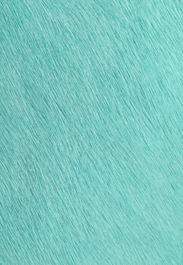 Сумка Passegiata