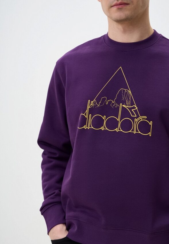 Свитшот Diadora