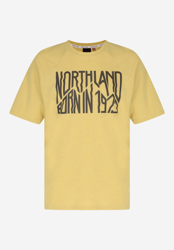 Футболка мужская Northland, Оранжевый
