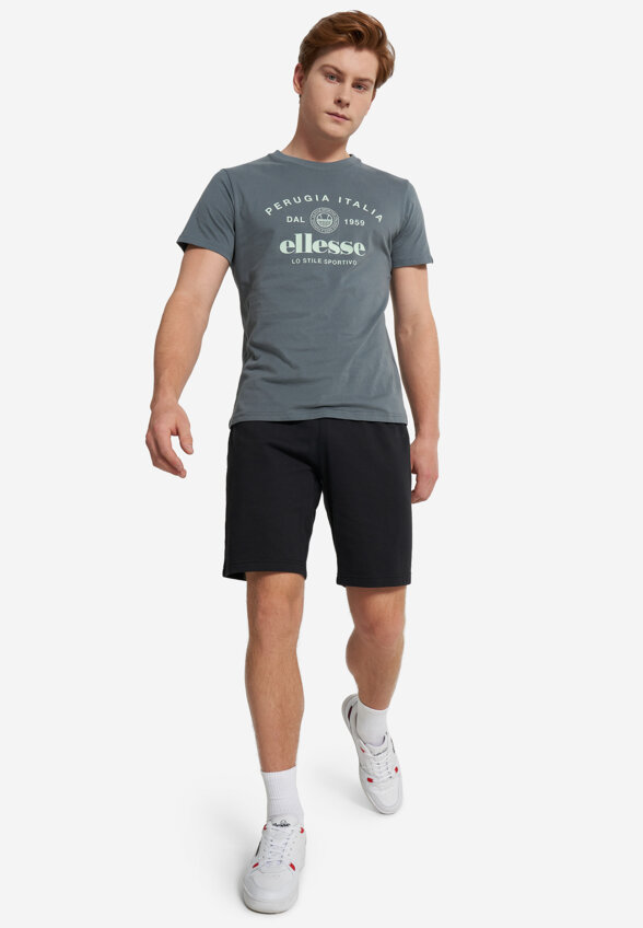 Футболка мужская Ellesse, Серый