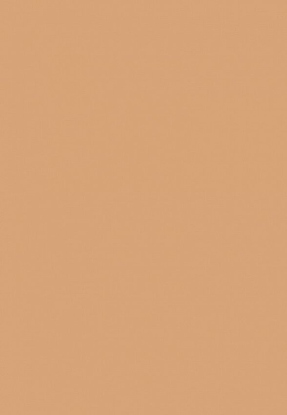 Тональная основа MAC