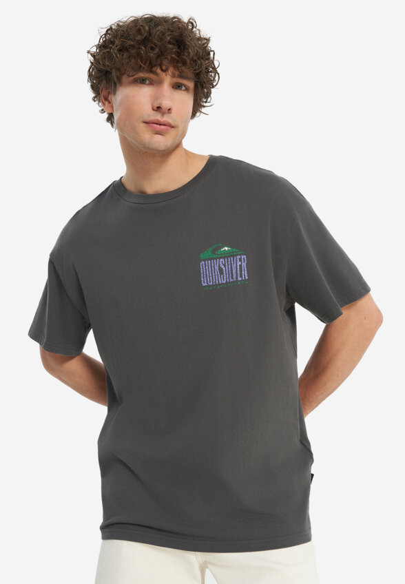 Футболка мужская оверсайз Quiksilver World Force, Серый