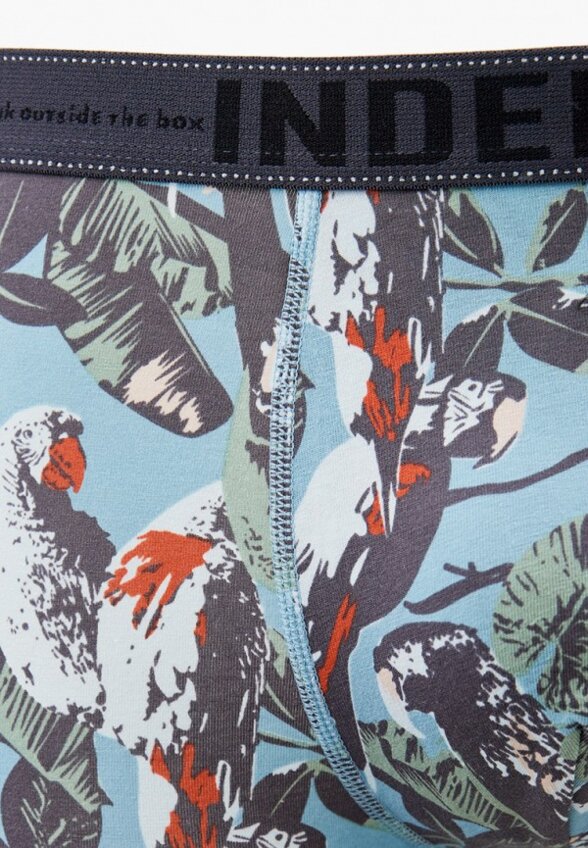 Трусы Indefini