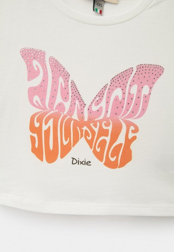 Футболка Dixie