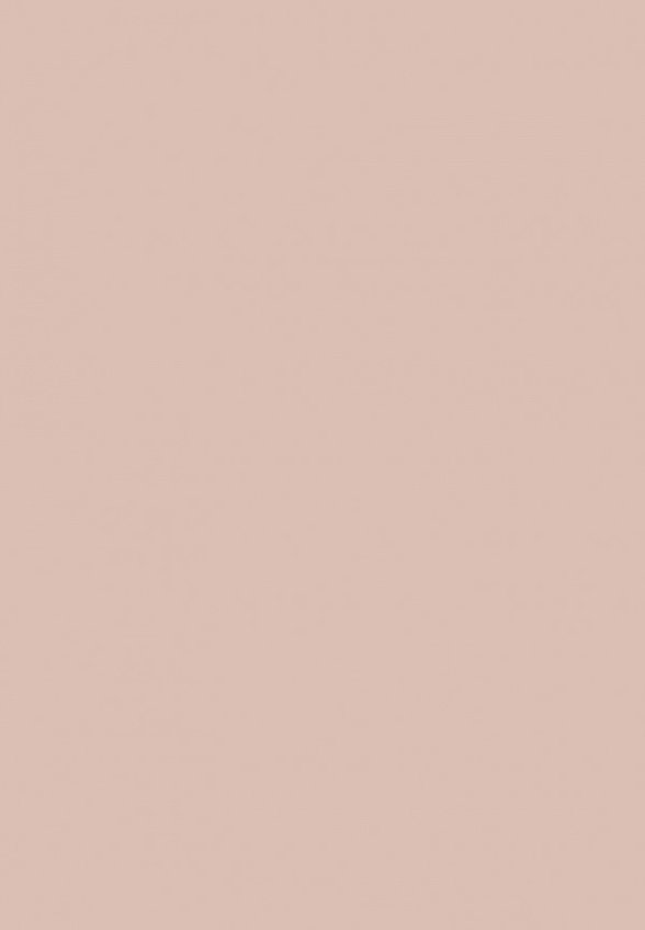 Тональная основа Influence Beauty