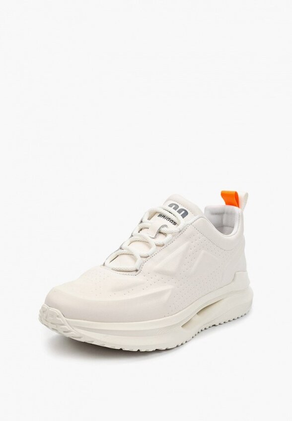 Кроссовки Briggs