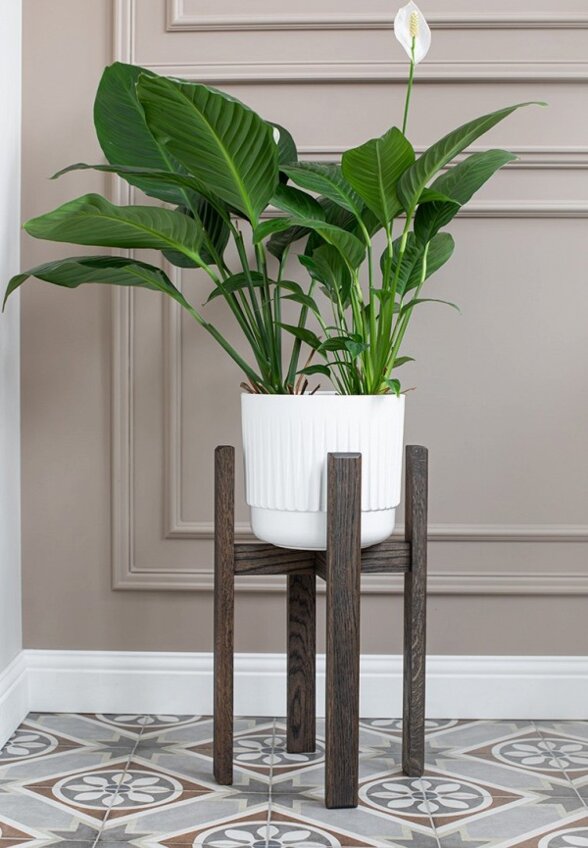 Подставка под кашпо Фоксвудрус