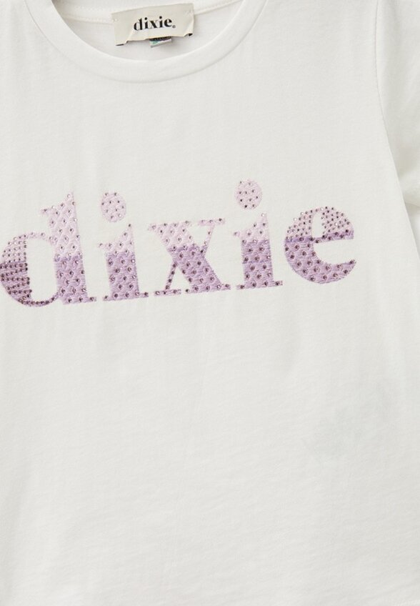 Футболка Dixie