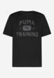 Футболка мужская PUMA Graphics Train Logo Relaxed, Черный8  - превью
