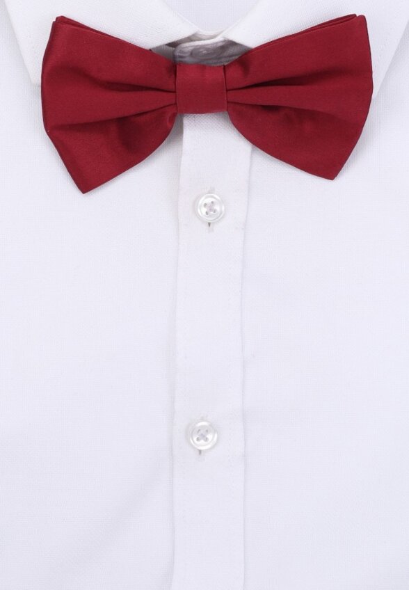 Бабочка Dolce&Gabbana