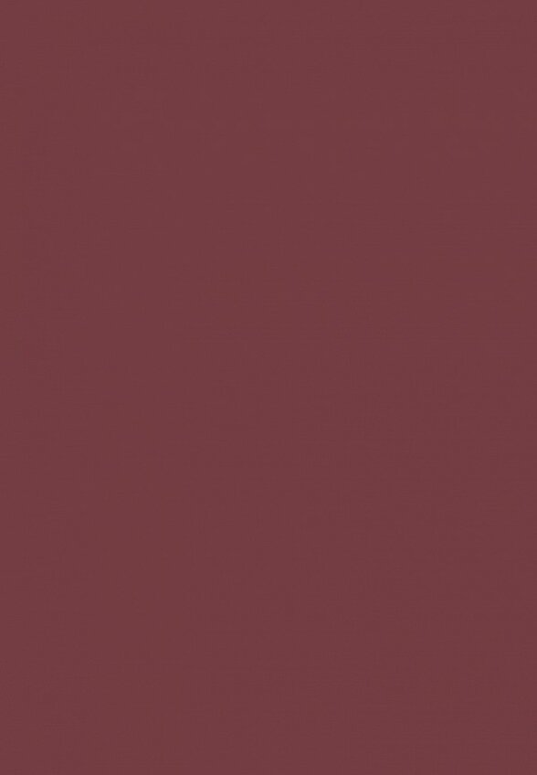 Помада Funky Monkey