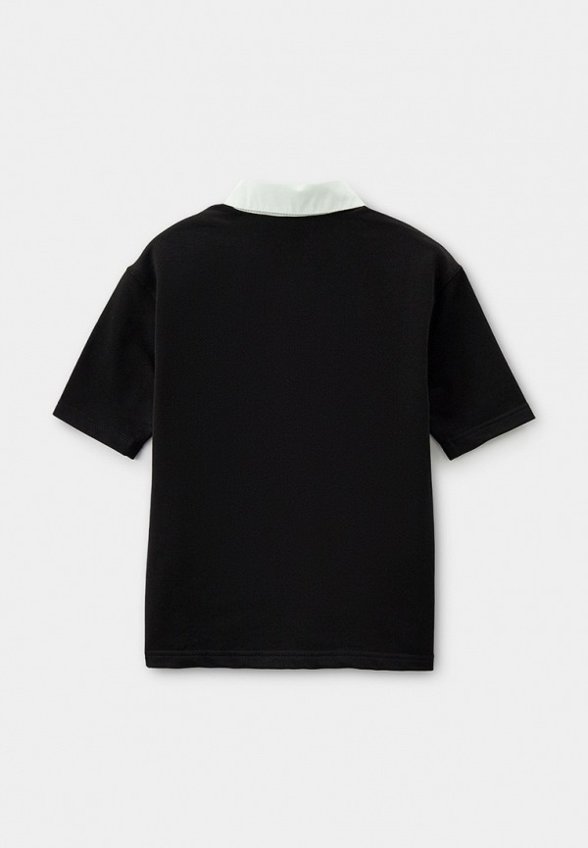 Поло Sui Generis