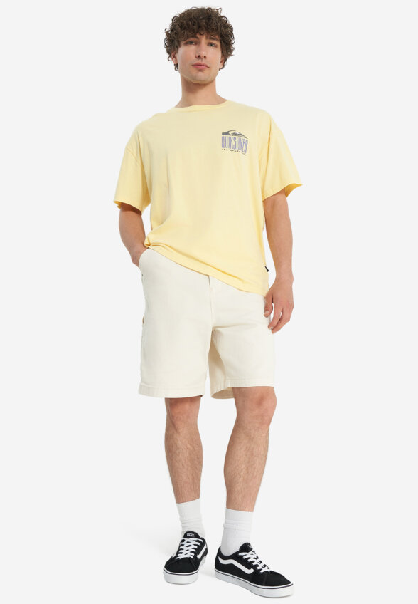 Шорты мужские оверсайз DC Shoes Carpenter Baggy, Бежевый