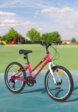 Велосипед для девочек Denton Shine 1.0 20