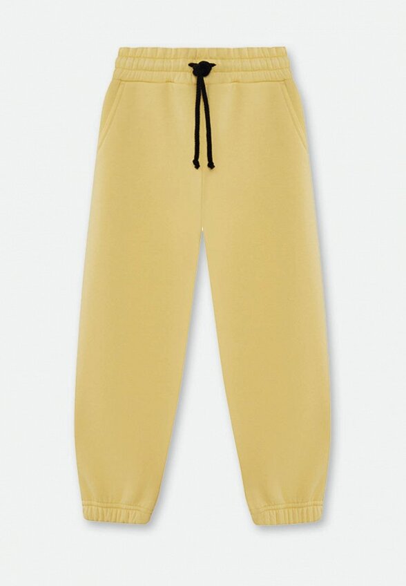 Брюки спортивные Chobi