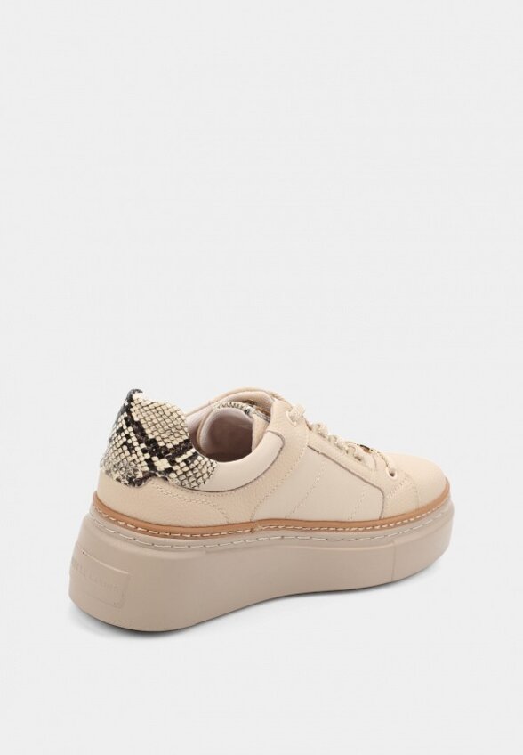 Кеды Pierre Cardin