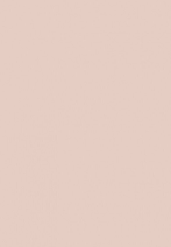 Пудра компактная Zeesea