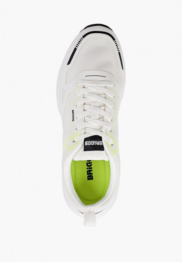 Кроссовки Briggs