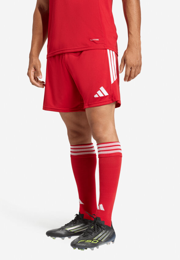 Шорты мужские Adidas Tiro26, Красный