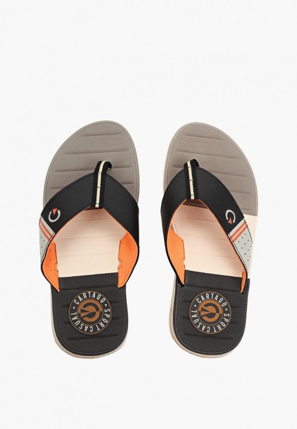 Сланцы Cartago