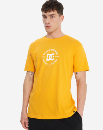 Футболка мужская DC Shoes Essy Dorrington, Желтый женщинам
