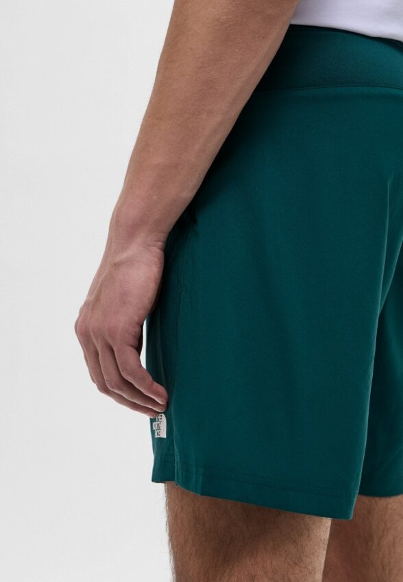 Шорты спортивные The North Face