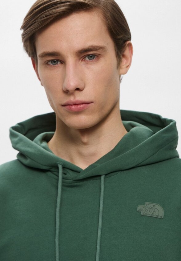 Худи The North Face