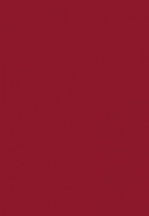 Румяна Arive Makeup