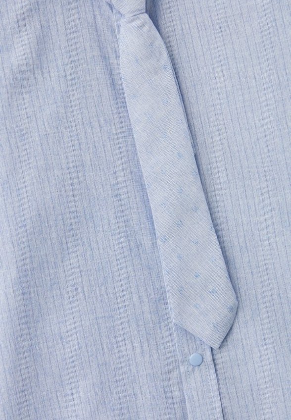 Рубашка и галстук Dali