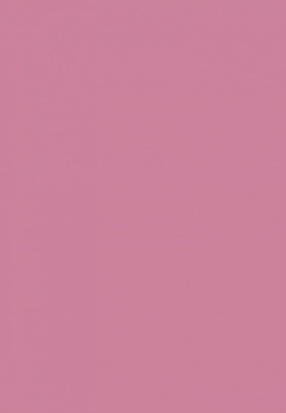 Карандаш для губ Astra