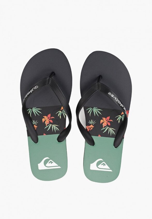 Сланцы Quiksilver