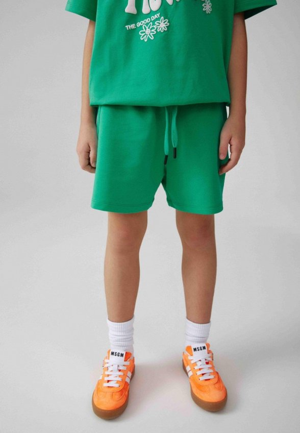 Шорты спортивные Artie