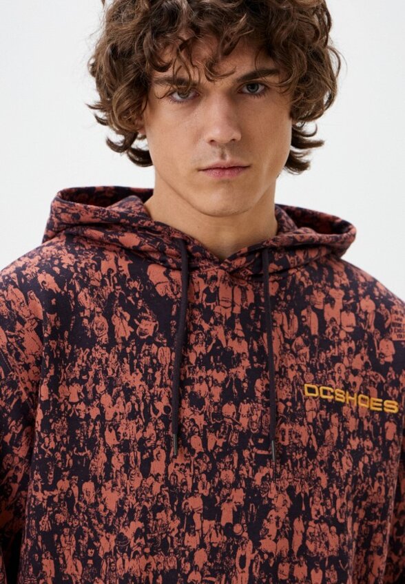 Худи DC Shoes