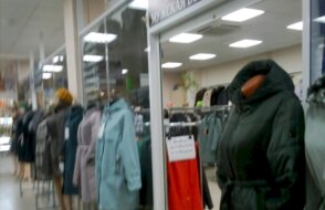 Дикая кошка в ТЦ Кристалл