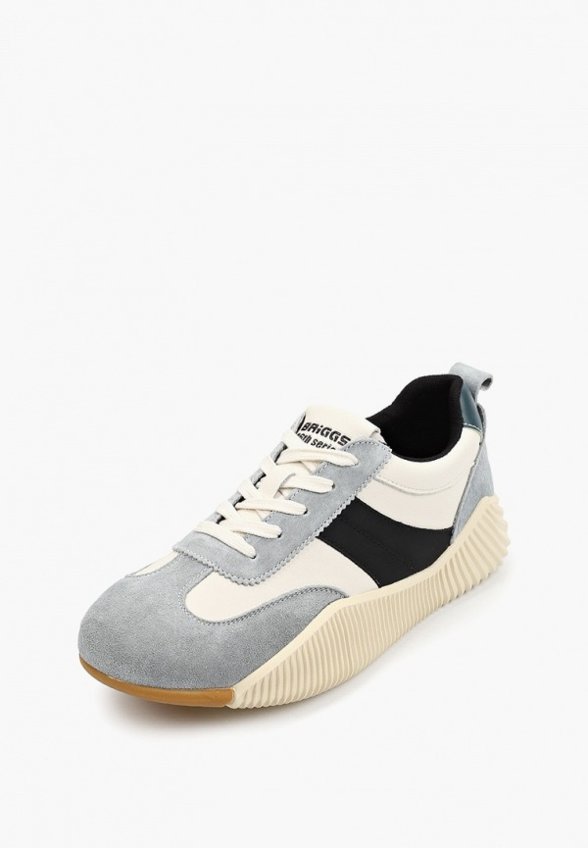 Кроссовки Briggs