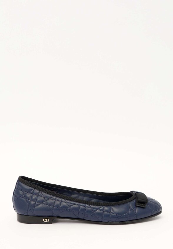 Dior Shoes